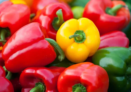 How to Grow Peppers at Home: A Step-by-Step Guide