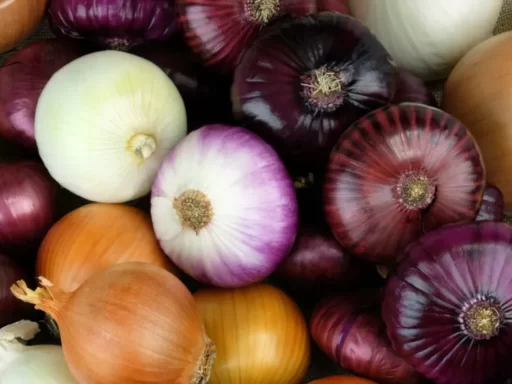 Growing Onions at Home: A Simple and Effective Method