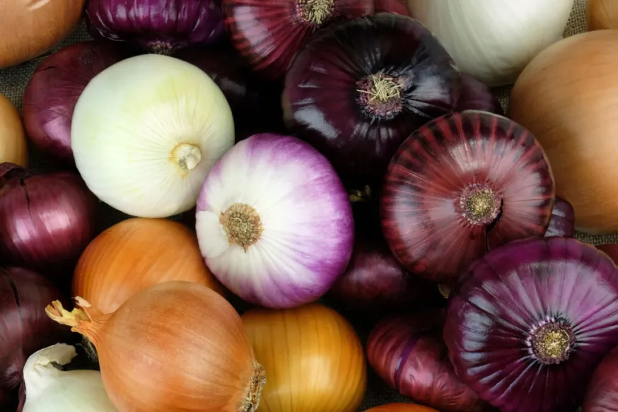 Growing Onions at Home: A Simple and Effective Method