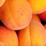 How to Grow Peaches at Home: A Step-by-Step Guide