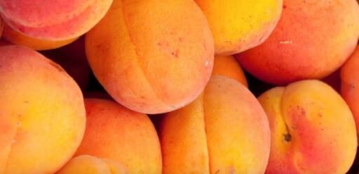 How to Grow Peaches at Home: A Step-by-Step Guide