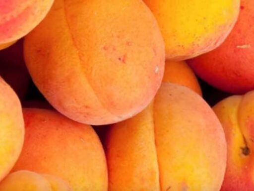 How to Grow Peaches at Home: A Step-by-Step Guide