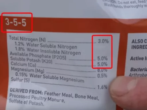 In the world of gardening, one of the most confusing topics for many gardeners is the use of fertilizers. With so many types available, it can be overwhelming to figure out which fertilizer is best for your garden. Questions like “What type should I use?” and “Are some fertilizers better than others?” often arise. This article aims to break down the differences between various fertilizers and help you understand which ones to use based on your garden’s needs. Compost: The Original and Best Fertilizer The top-ranked fertilizer for your garden is compost, which is technically not a fertilizer in the modern sense but is considered the original fertilizer. Compost has been used for thousands of years, long before humans started producing concentrated fertilizers. While fertilizers today are concentrated forms of nutrition, compost is simply decomposed biological matter—such as plant material, animal waste, and other organic matter. What makes compost stand out is its ability to create a thriving ecosystem in your garden. Compost provides more than just nutrients; it brings in trillions of bacteria, fungi, and other microorganisms that help your plants absorb those nutrients. Just as a strong foundation is necessary for a house, healthy soil is essential for a thriving garden. Without compost, adding other fertilizers will be less effective because plants need a living soil ecosystem to grow optimally. To ensure a healthy garden, compost should be added several times a year. Whether you're planting new seeds, transplanting plants, or preparing your beds for the next season, compost keeps the soil alive and active, leading to healthier plants. Organic Granular Fertilizers: A Close Second Ranked second among the best fertilizers are organic all-purpose granular fertilizers. These are made from animal parts like bone meal, feather meal, and poultry manure, which means they contain essential nutrients, amino acids, and other vital elements. These fertilizers provide a well-rounded balance of nutrients for your plants. Organic granular fertilizers are easy to use, and they slowly release nutrients into the soil as they decompose. This makes them ideal for a long-term feeding strategy. When applying, work the fertilizer into the top few inches of soil and water it thoroughly to accelerate the breakdown process. Over time, these fertilizers will nourish both your plants and the soil’s microbiome, leading to healthier, more robust growth. Soil Amendments: A Specialized Approach Ranked third are organic soil amendments such as bone meal, blood meal, and azomite. These products are not complete fertilizers but serve as supplements that target specific nutrient deficiencies. For example, bone meal is high in phosphorus and calcium, which are great for root development and promoting flowering. Blood meal, on the other hand, is rich in nitrogen, helping leafy plants grow strong. Soil amendments are best used in combination with other fertilizers. They feed the soil’s bacteria and fungi, promoting a healthy microbial environment, which is essential for plants to thrive. Water-Soluble Fertilizers: Fast-Acting Solutions Organic water-soluble fertilizers, ranked fourth, are ideal for gardeners who need quick results. These fertilizers are immediately bioavailable, meaning your plants can absorb them as soon as you apply them. One popular example is Alaska Fish Fertilizer, which is made from ground fish and provides a quick nutrient boost to your plants. Water-soluble fertilizers are great for addressing nutrient deficiencies or helping plants recover from stress, such as after transplanting or during extreme weather conditions. Simply mix the fertilizer in water, apply it to the root area, and your plants will immediately start benefiting from the nutrients. Conclusion Fertilizing your garden doesn’t have to be a confusing process. By understanding the different types of fertilizers and how they work, you can make informed decisions that will help your garden thrive. Compost should always be your first choice as it provides a living ecosystem for your plants. Organic granular fertilizers are excellent for long-term nourishment, while soil amendments can address specific nutrient needs. Lastly, water-soluble fertilizers are ideal for quick nutrient boosts. By using the right fertilizer at the right time, you’ll set your garden up for success. Frequently Asked Questions What is the best fertilizer for vegetable gardens? Compost is the best overall option as it enriches the soil and creates a healthy ecosystem for plants to thrive. How often should I add compost to my garden? It’s recommended to add compost several times a year, especially when planting, transplanting, or preparing the soil for the next season. Can I use granular fertilizer for all types of plants? Yes, organic granular fertilizers are suitable for most plants as they release nutrients slowly over time. How do soil amendments differ from regular fertilizers? Soil amendments target specific nutrient deficiencies, while regular fertilizers provide a more balanced nutrient supply. What is the advantage of water-soluble fertilizers? Water-soluble fertilizers provide an immediate nutrient boost to plants and are ideal for correcting deficiencies quickly. Can I use compost and granular fertilizer together? Absolutely, combining compost with granular fertilizers creates a more robust feeding program for your plants. How much water-soluble fertilizer should I use? Follow the instructions on the product label, but a common recommendation is to mix 2-3 tablespoons per gallon of water.