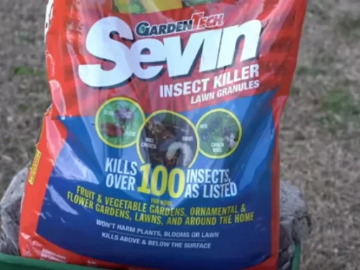 How to Make Your Yard Ant-Free: A Comprehensive Guide