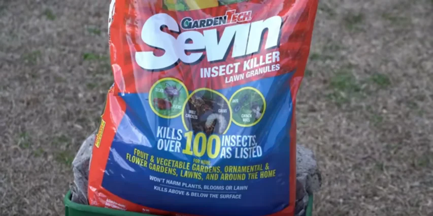 How to Make Your Yard Ant-Free: A Comprehensive Guide