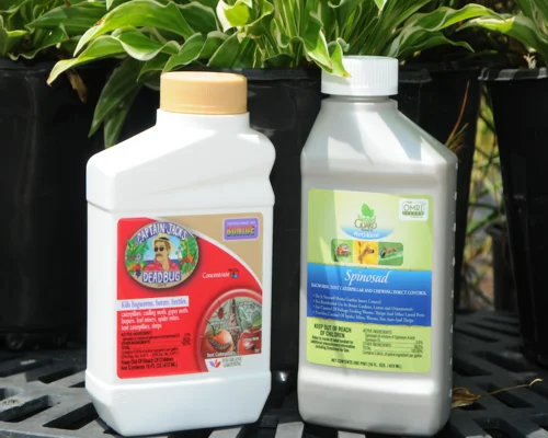 Natural Pesticides for a Pest-Free Garden