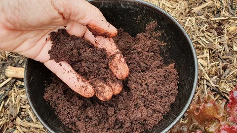 How to Make Compost: The Ultimate Guide for a Thriving Garden