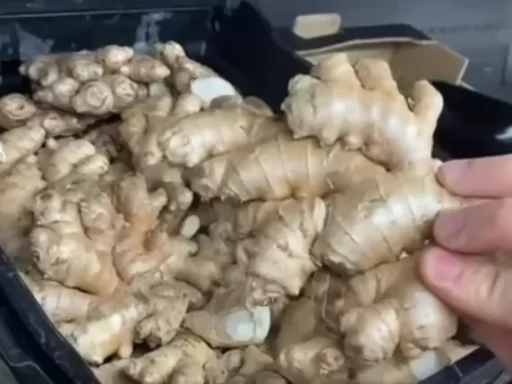 How to Grow Ginger Successfully at Home: A Comprehensive Guide